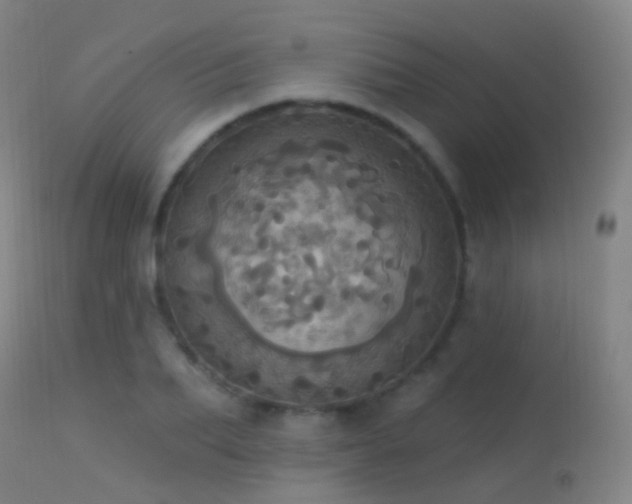 X0000113230887200909171536