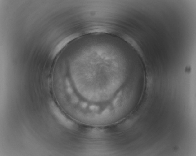 X0000113230890200909171536