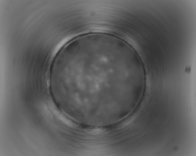 X0000113230891200909171536