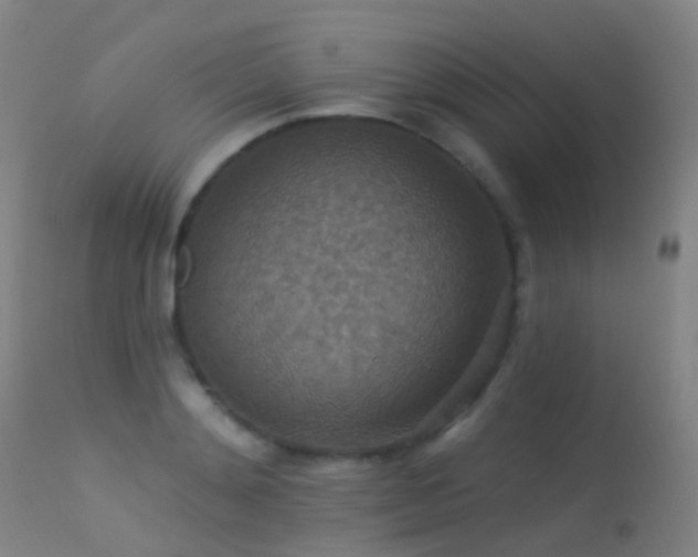 X0000113230892200909171536