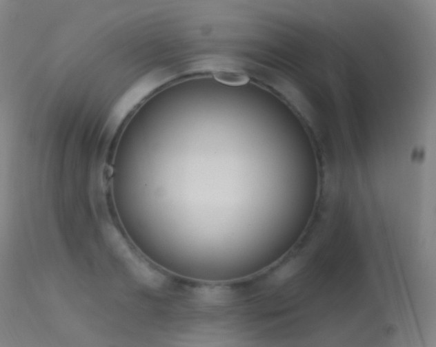 X0000113230893200909171536