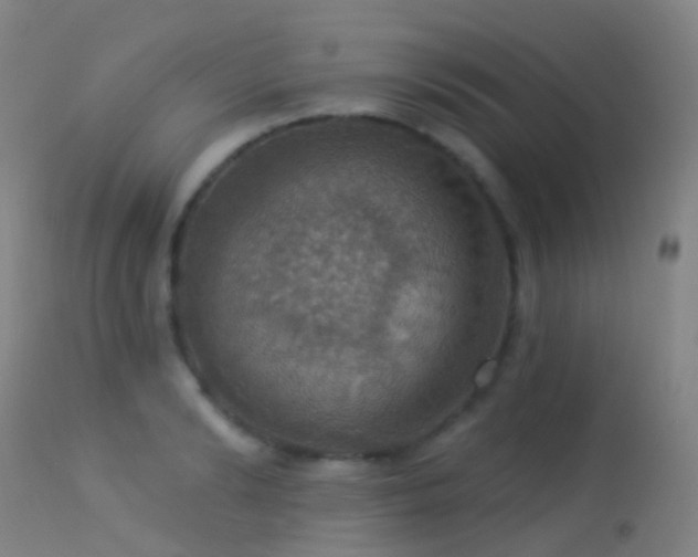 X0000113230894200909171536