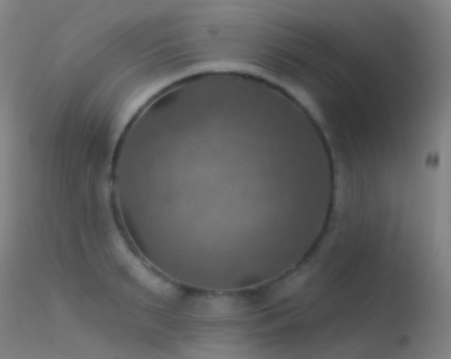 X0000113230895200909171536