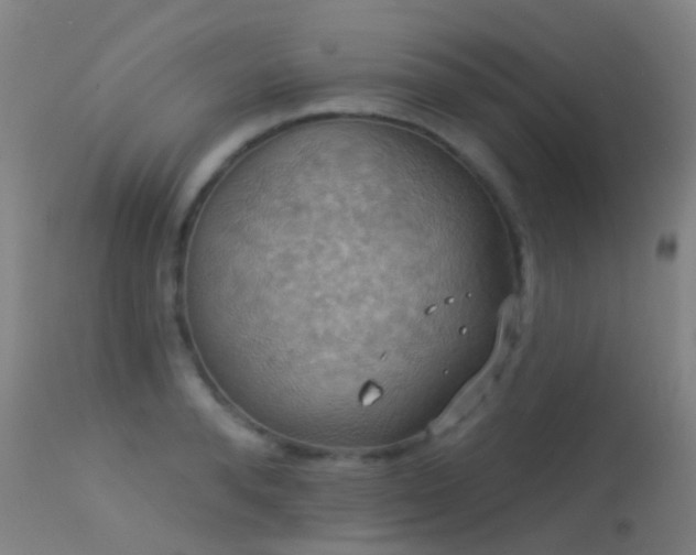 X0000113230896200909171536