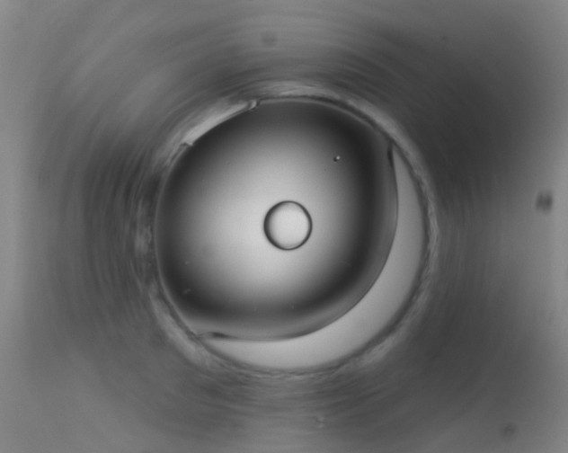 X0000113230897200909171536