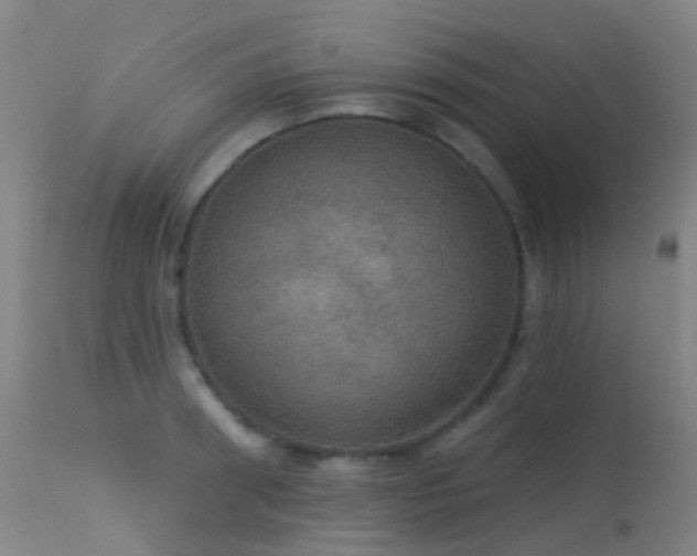 X0000113230898200909171536