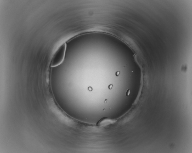 X0000113230900200909171536