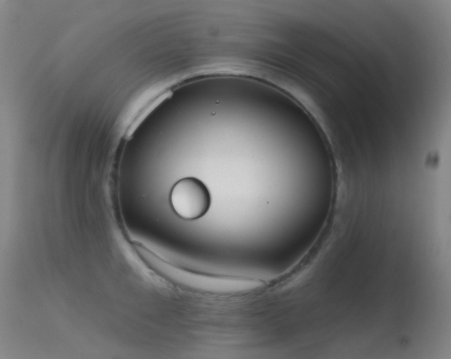 X0000113230901200909171536