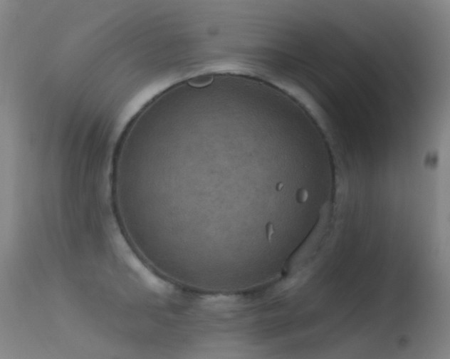 X0000113230902200909171536