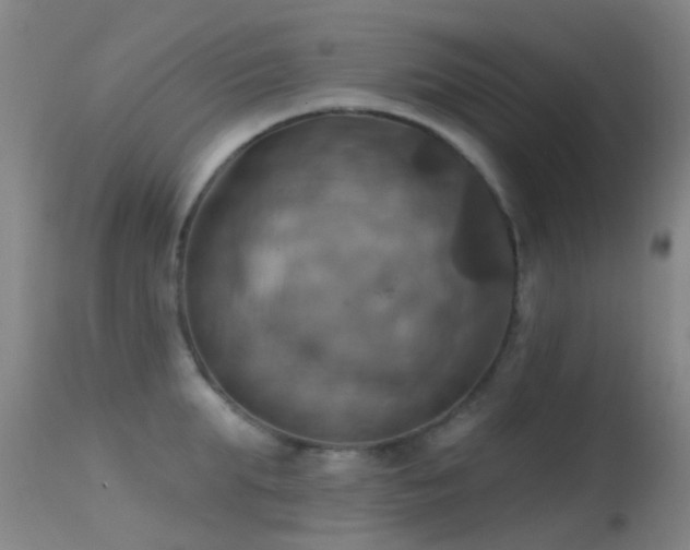 X0000113230903200909171536