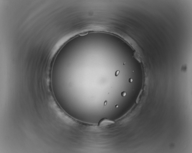 X0000113230904200909171536