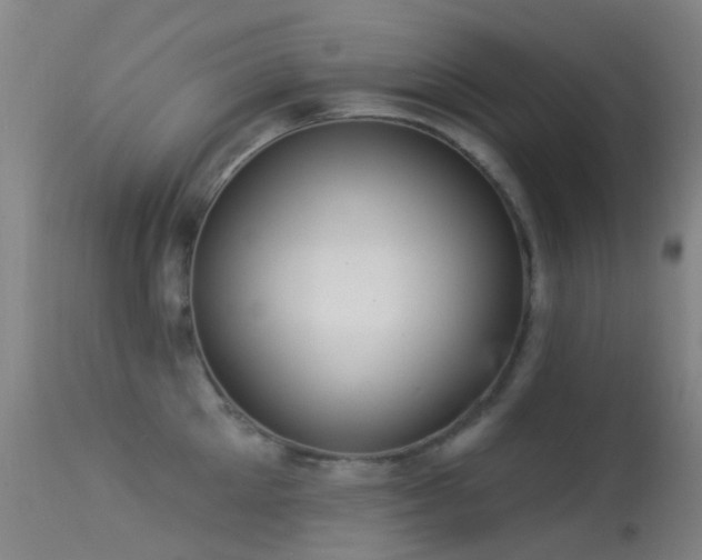 X0000113230905200909171536