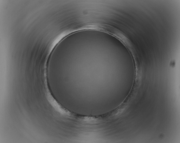 X0000113230907200909171536