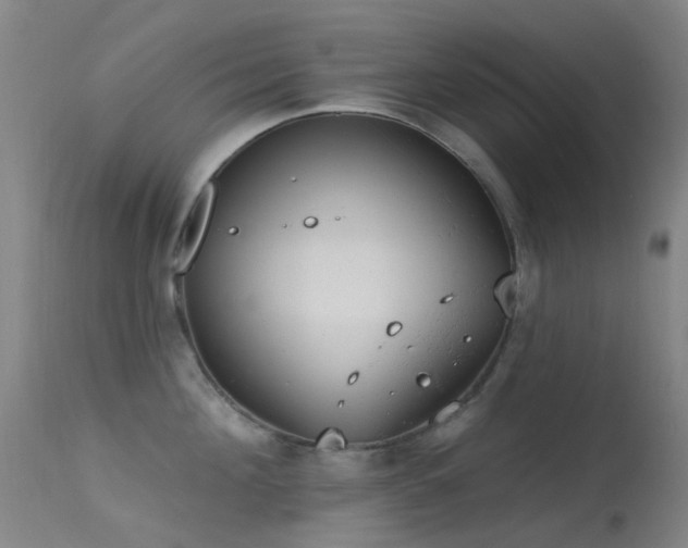 X0000113230908200909171536