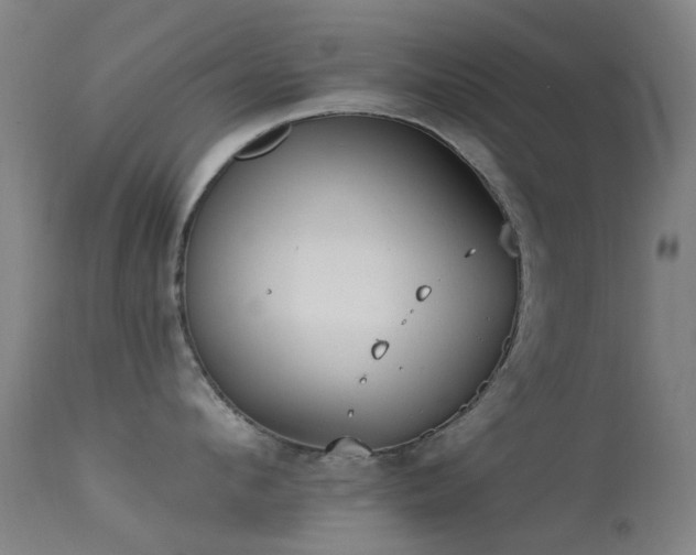 X0000113230912200909171536