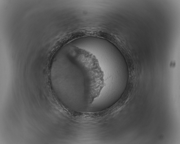 X0000113230913200909171535