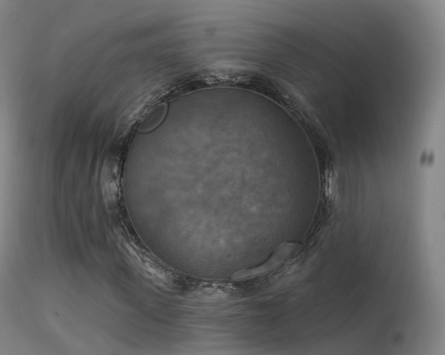 X0000113230915200909171535