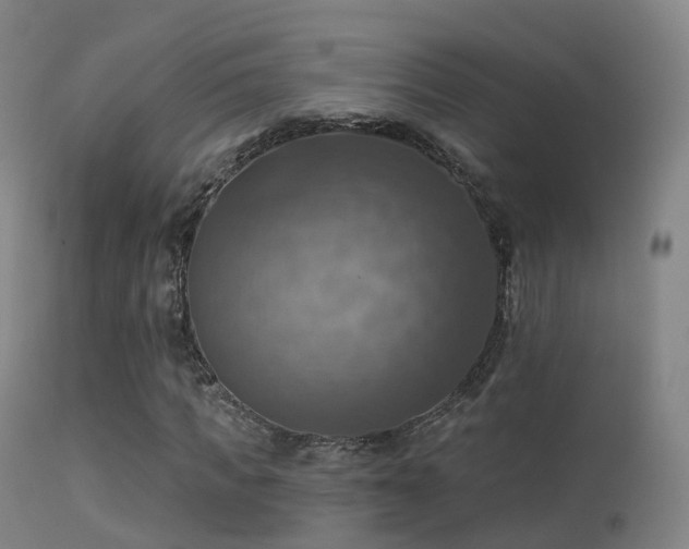 X0000113230917200909171535