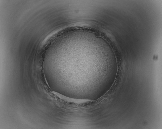 X0000113230920200909171535