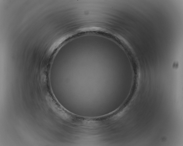 X0000113230921200909171535