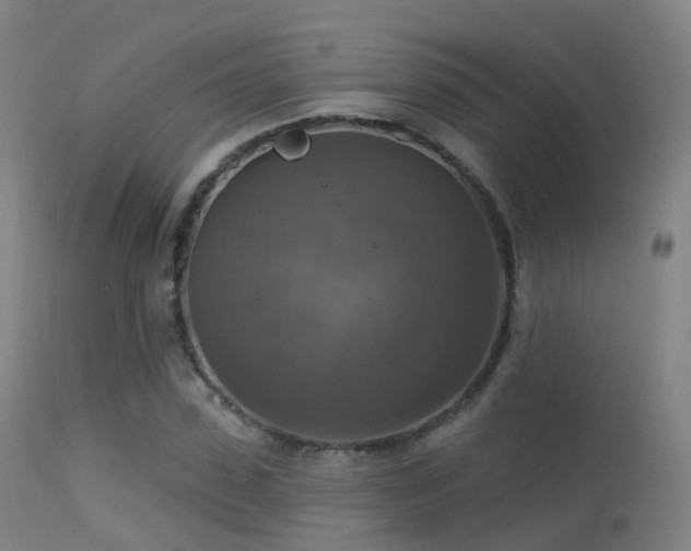 X0000113230923200909171535