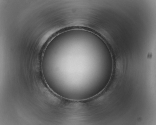 X0000113230926200909171535