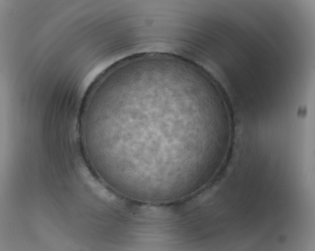 X0000113230928200909171535