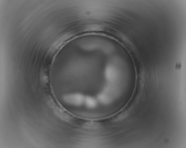 X0000113230929200909171535