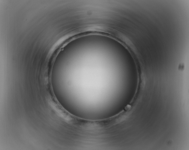 X0000113230931200909171535