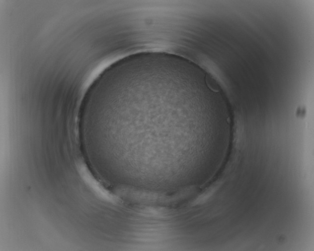 X0000113230932200909171535