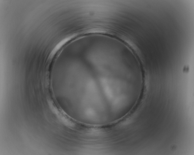 X0000113230933200909171535