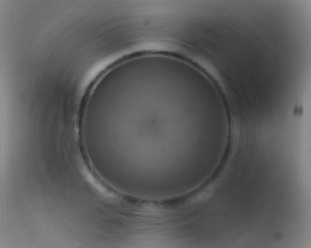 X0000113230935200909171535