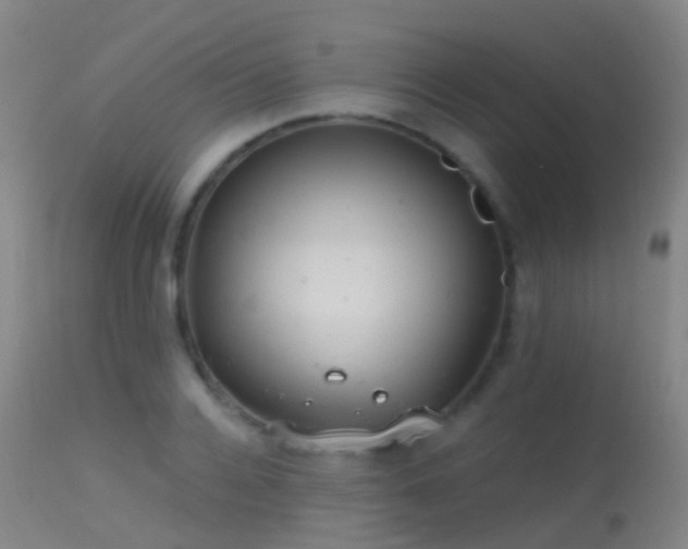 X0000113230936200909171535