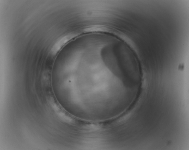 X0000113230937200909171535