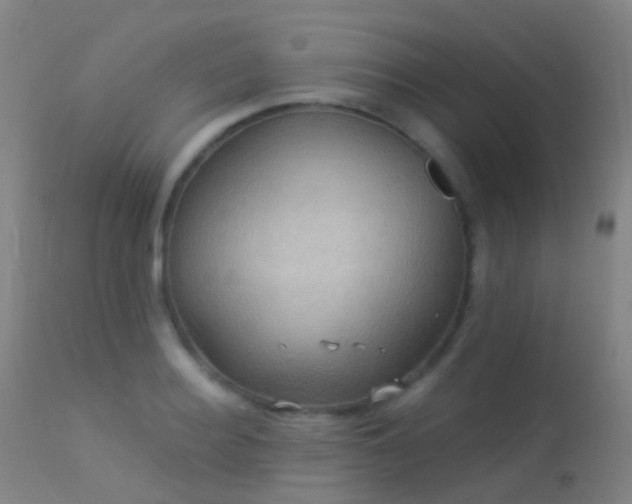 X0000113230940200909171536