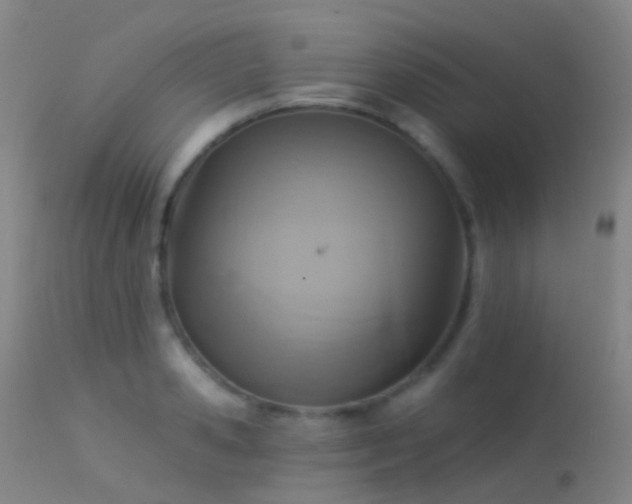 X0000113230941200909171536