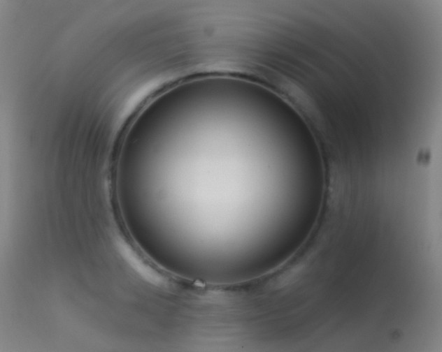 X0000113230942200909171536