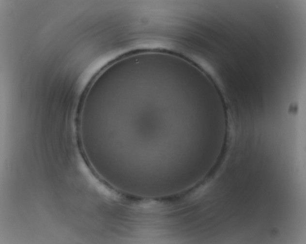 X0000113230943200909171536