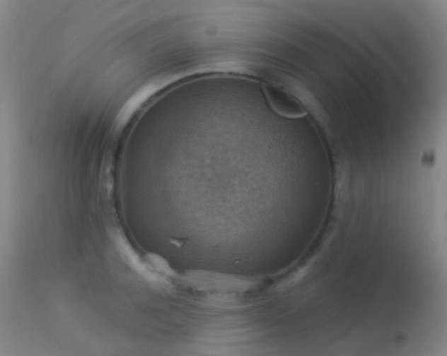 X0000113230944200909171536