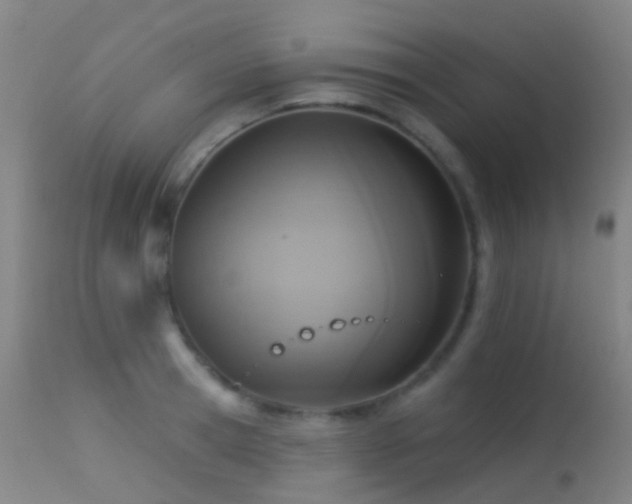 X0000113230945200909171536