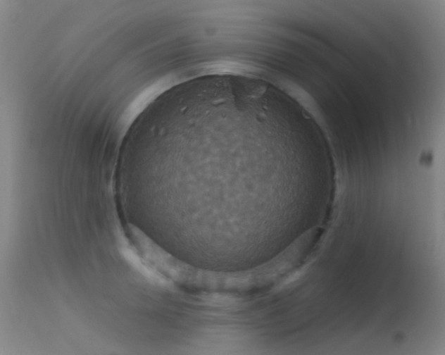 X0000113230946200909171536