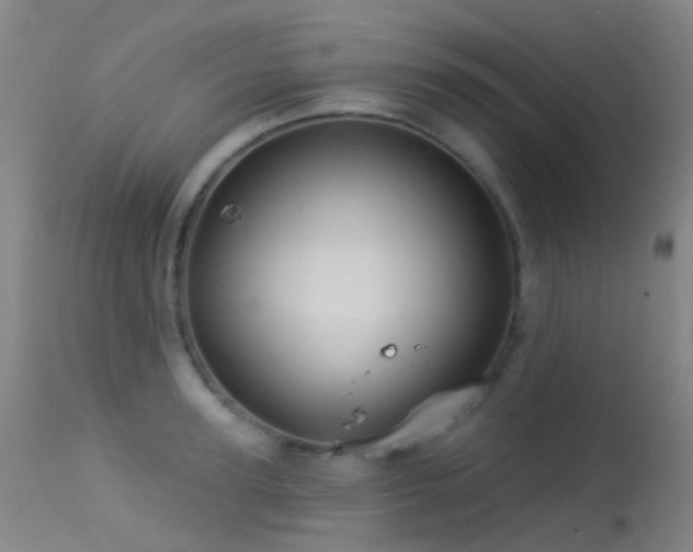 X0000113230947200909171536