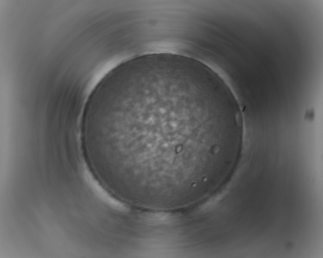 X0000113230949200909171536