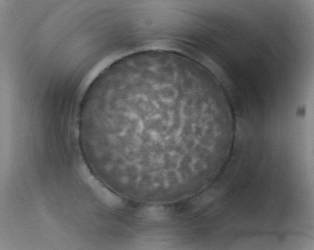 X0000113230950200909171536