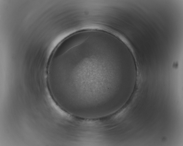 X0000113230951200909171536