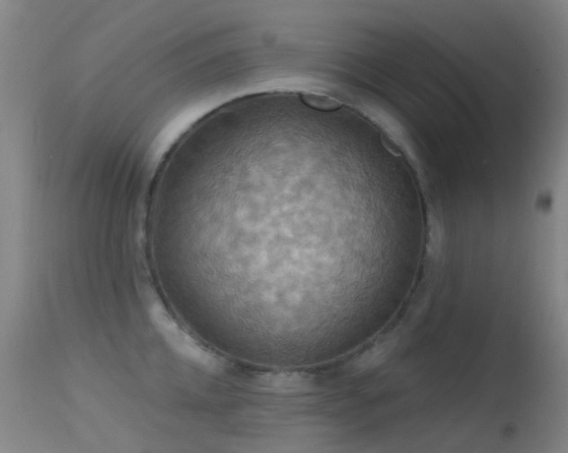 X0000113230952200909171536