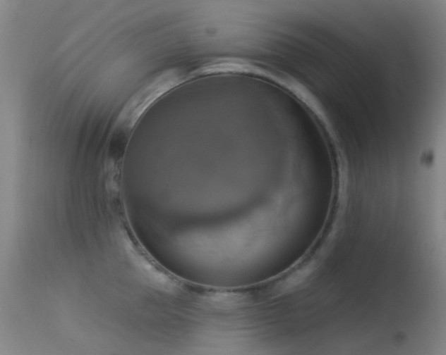 X0000113230953200909171536