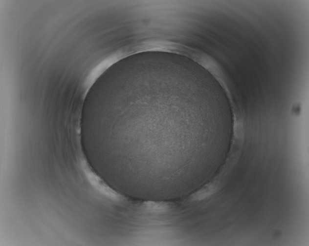 X0000113230954200909171536