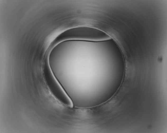 X0000113230956200909171536