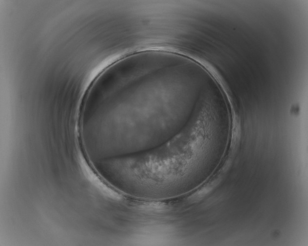 X0000113230957200909171536